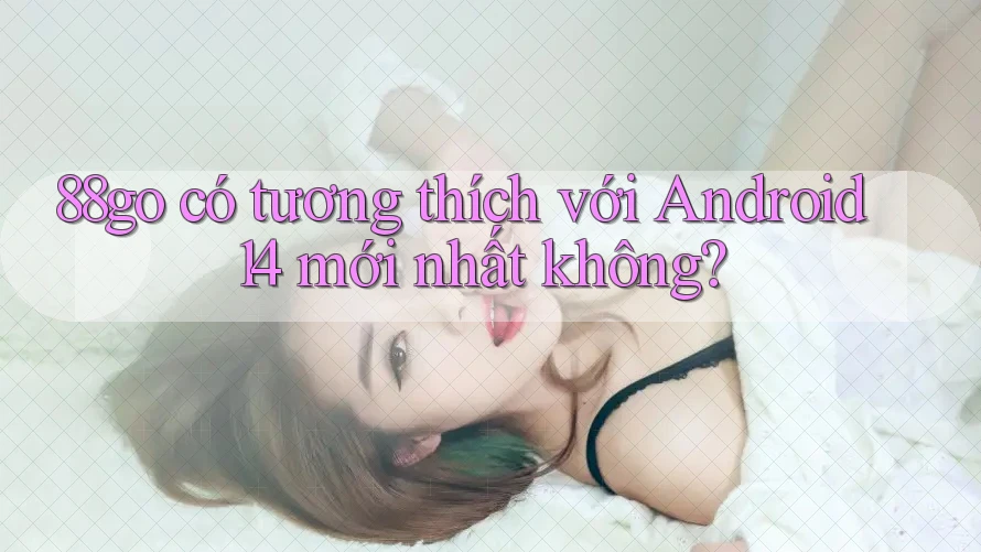 88go có tương thích với Android 14 mới nhất không? 88go có tương thích với Android 14 mới nhất không?