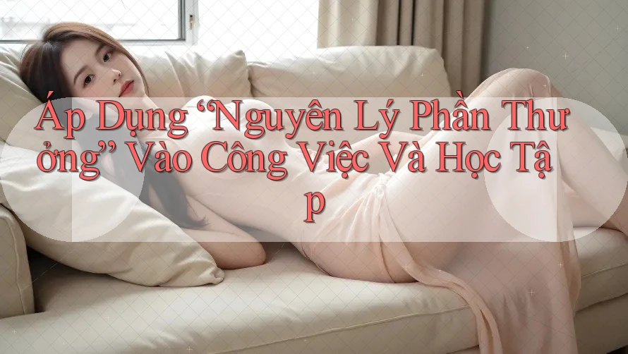 Áp Dụng “Nguyên Lý Phần Thưởng” Vào Công Việc Và Học Tập