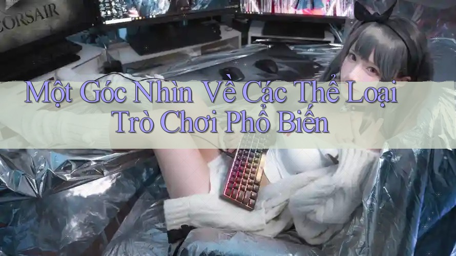 Một góc nhìn về các thể loại trò chơi phổ biến Một góc nhìn về các thể loại trò chơi phổ biến