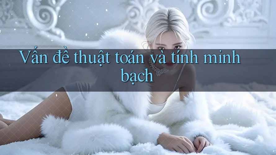Vấn đề thuật toán và tính minh bạch